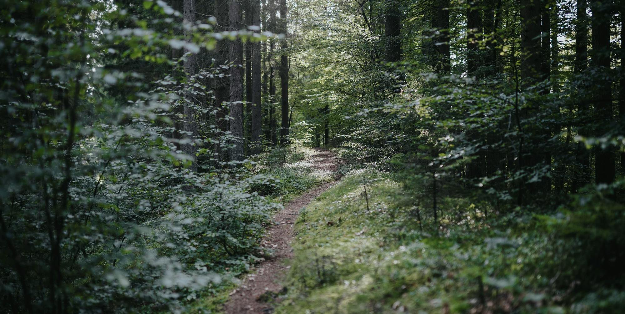 Naturvy, Vittsjö, Skåne