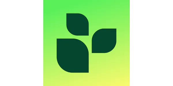 lifesum