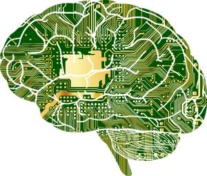 Learning To Learn: 5 Ways To Upgrade Your Brain