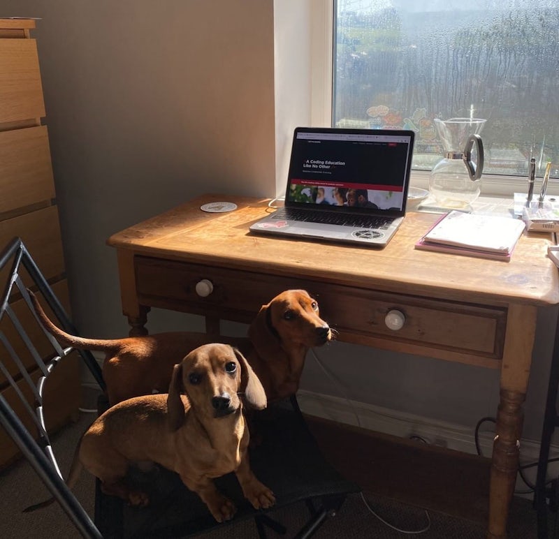 Remote coding bootcamps