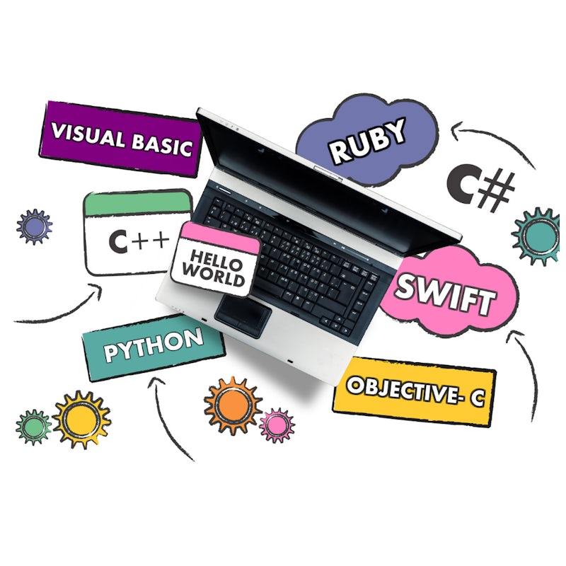 Should I Learn to Code?