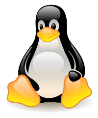 Installing a Linux Operating System