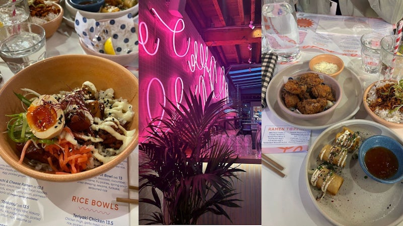 Teriyaki rice bowl, gyoza and spring rolls at House of Fu