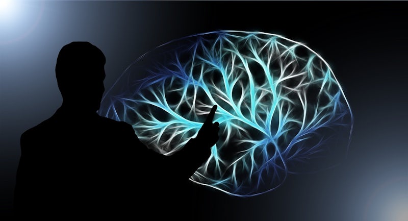Learning To Learn: 5 Ways To Upgrade Your Brain