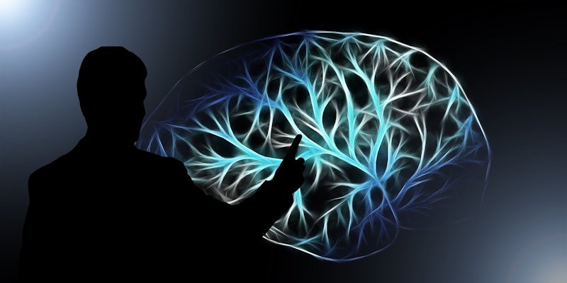Learning To Learn: 5 Ways To Upgrade Your Brain