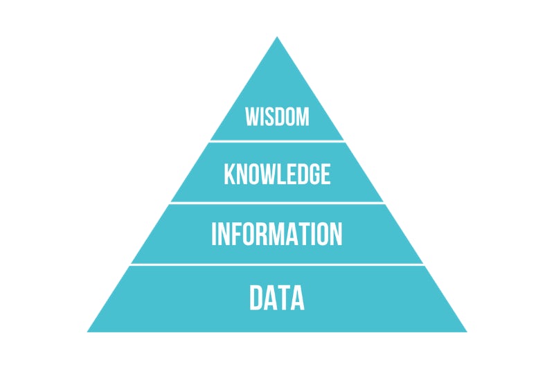 Why You Should Learn Programming. Or Not!