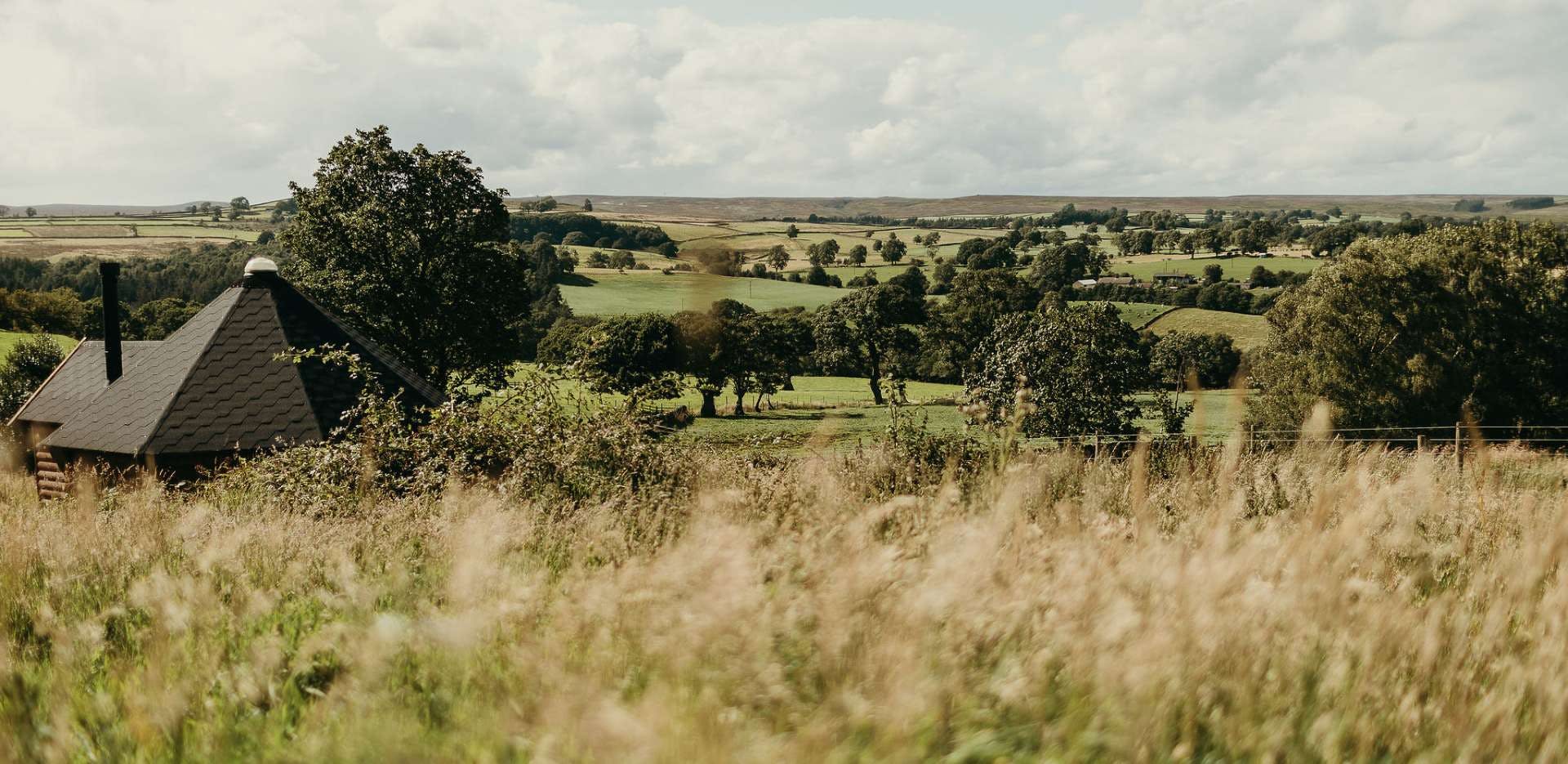 View across grassy fields at Little Seed Field, Ripon