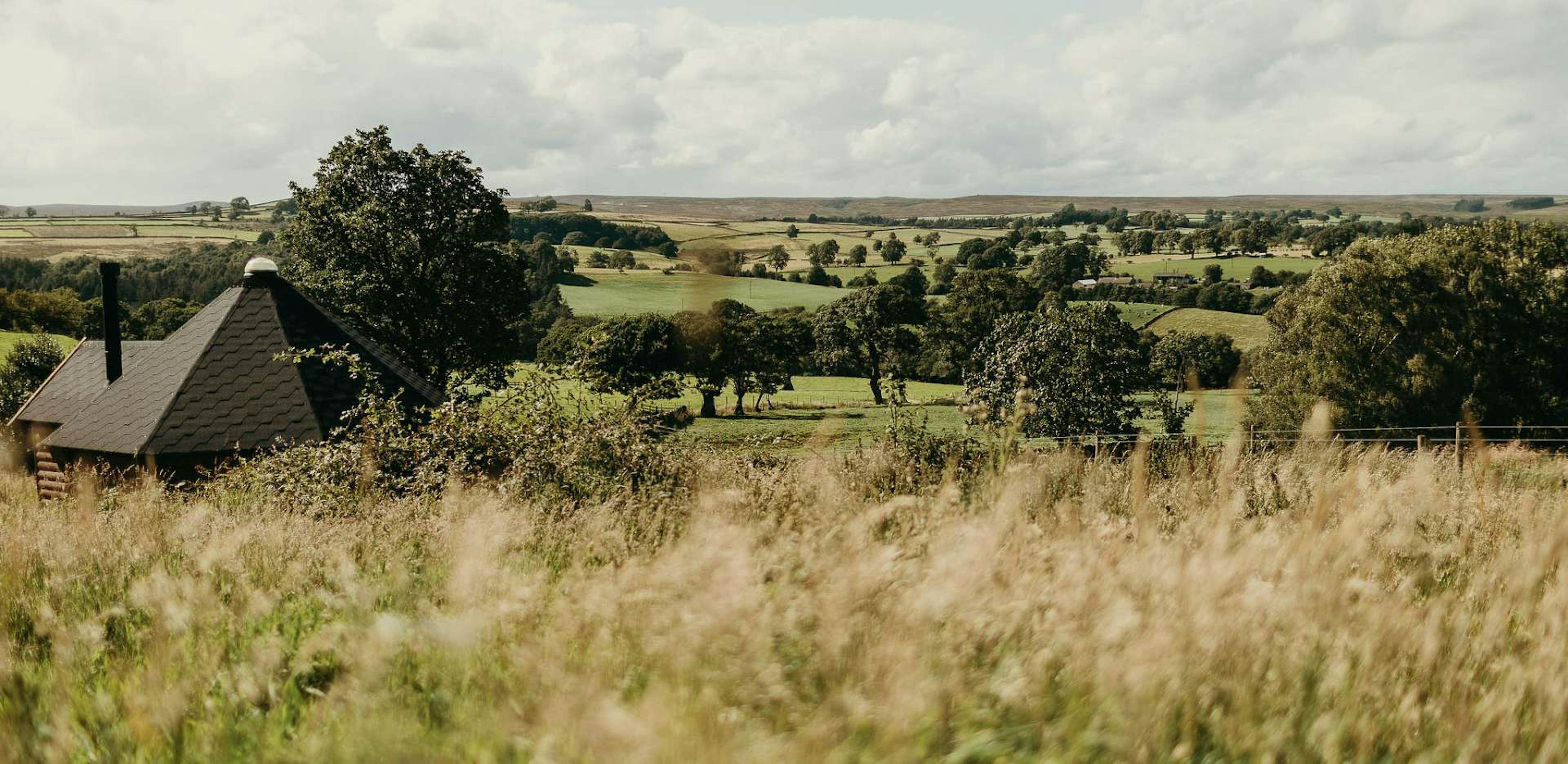 View across grassy fields at Little Seed Field, Ripon