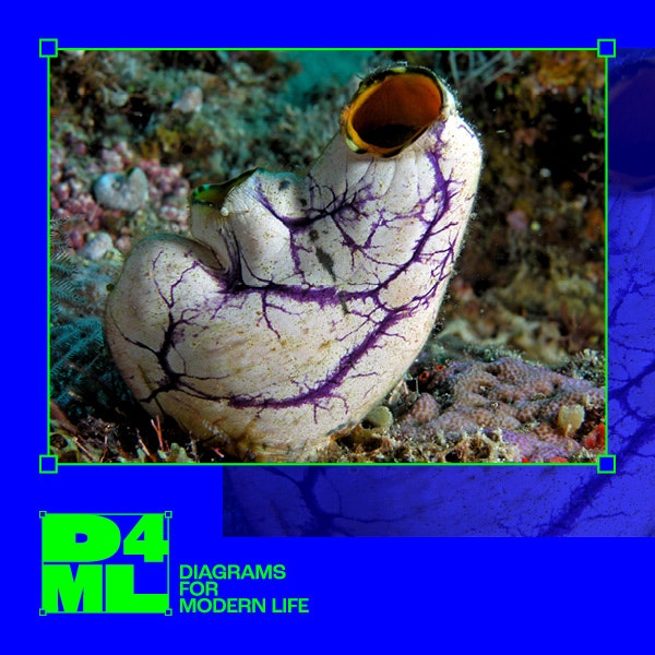 #8 Diagrams for Modern Life — Overstuffing Content & Sea Squirts?