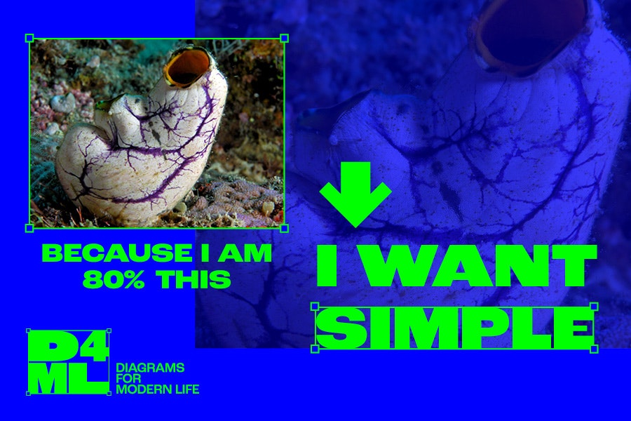An image of a sea squirt overlaid on a blue background with green text saying 'Because I am 80% this I want simple' with the 'D4ML' tag for Diagrams For Modern Life. For the blog Overstuffing Content & Sea Squirts?