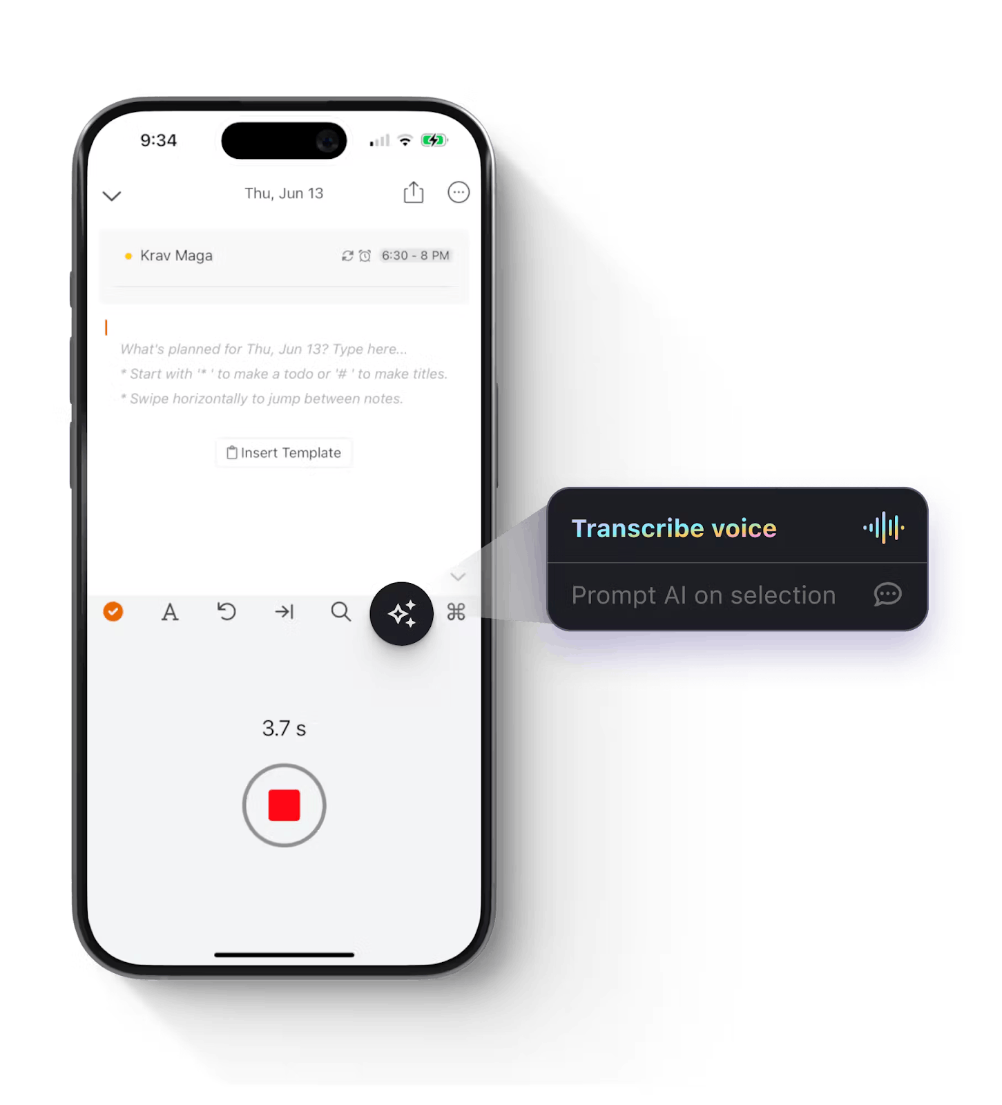 NotePlan voice input and transcription feature on iPhone