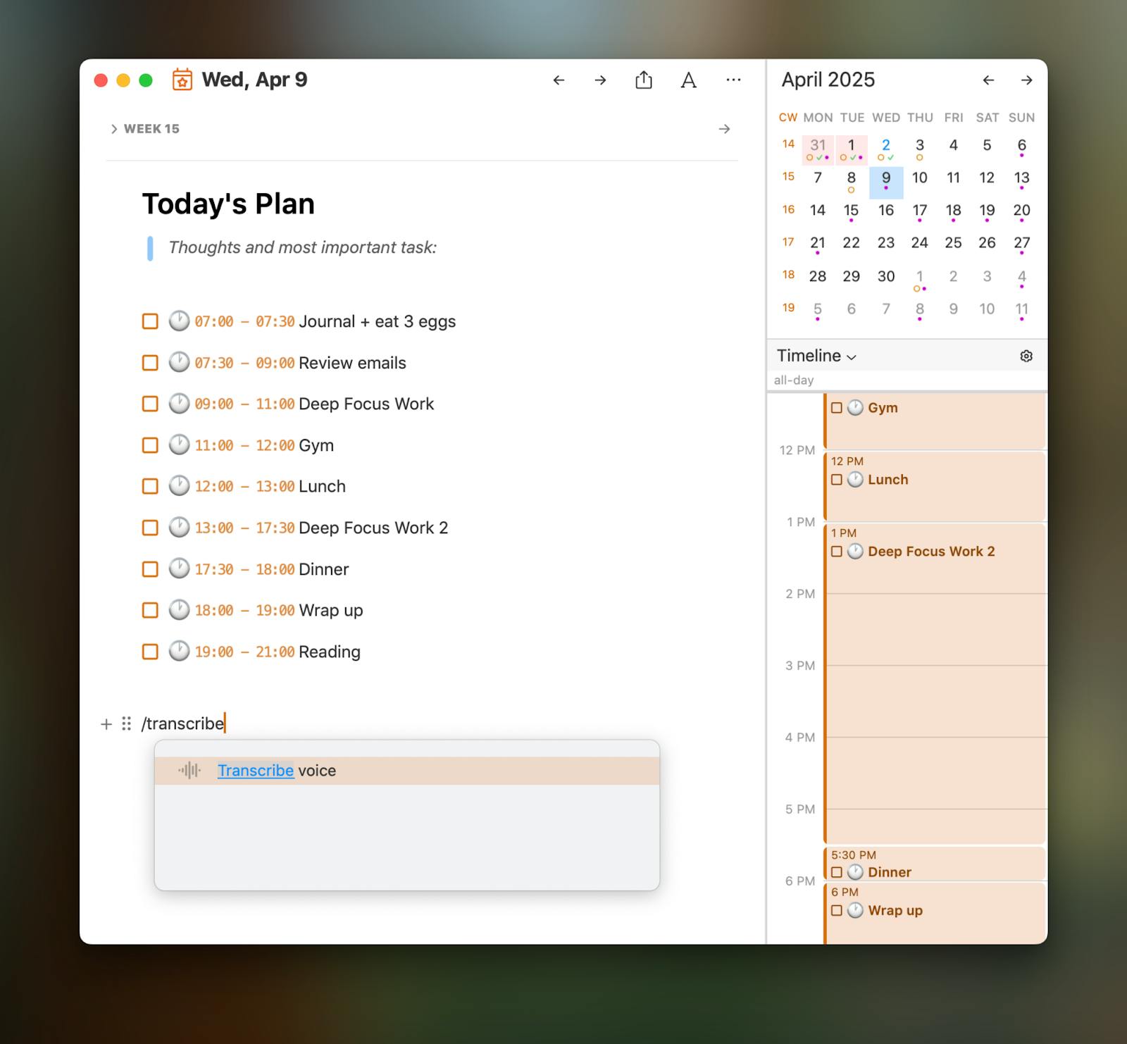 NotePlan daily plan layout