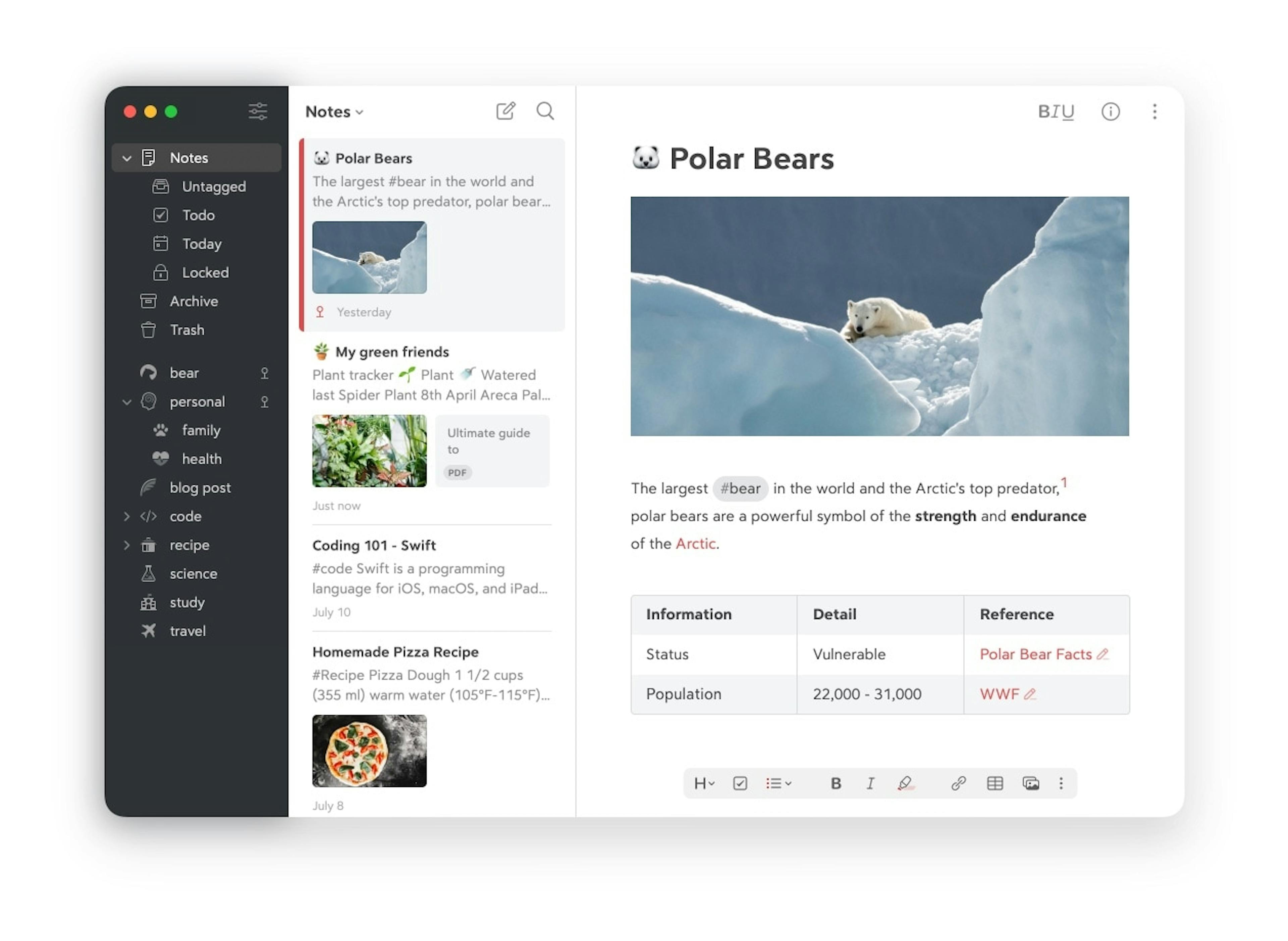 Bear iPad App