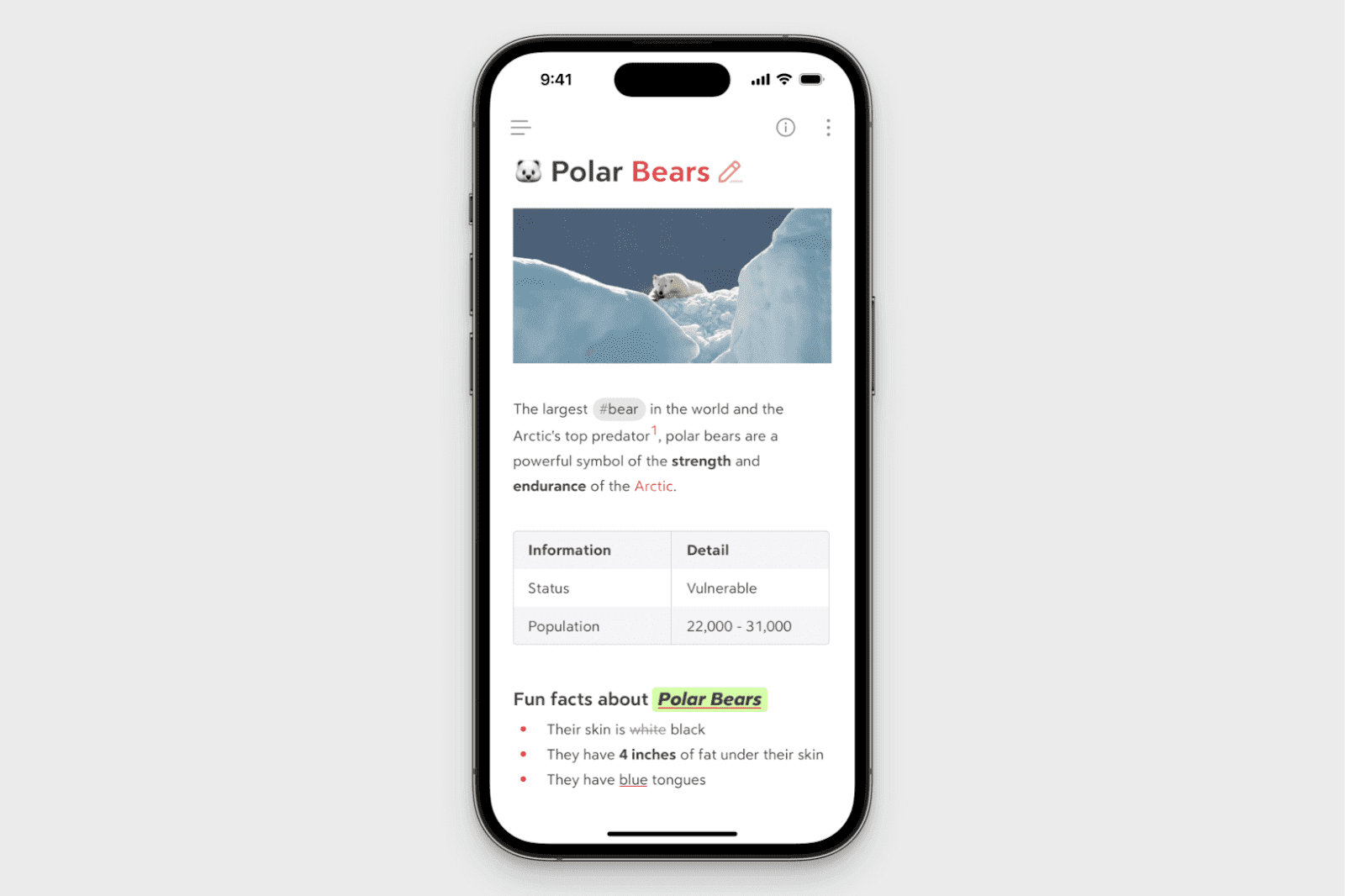 Bear's layout on iPhone