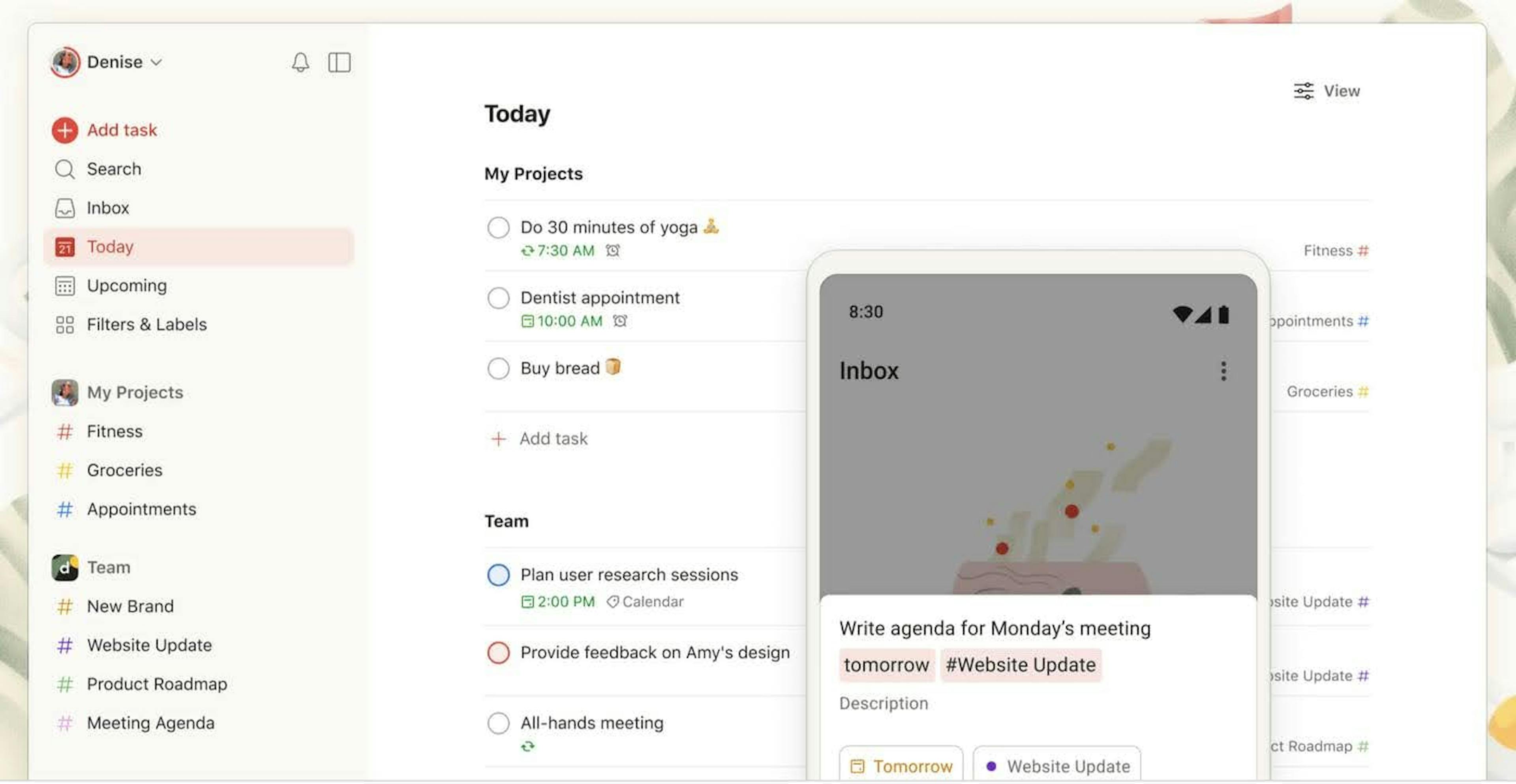 Todoist app layout