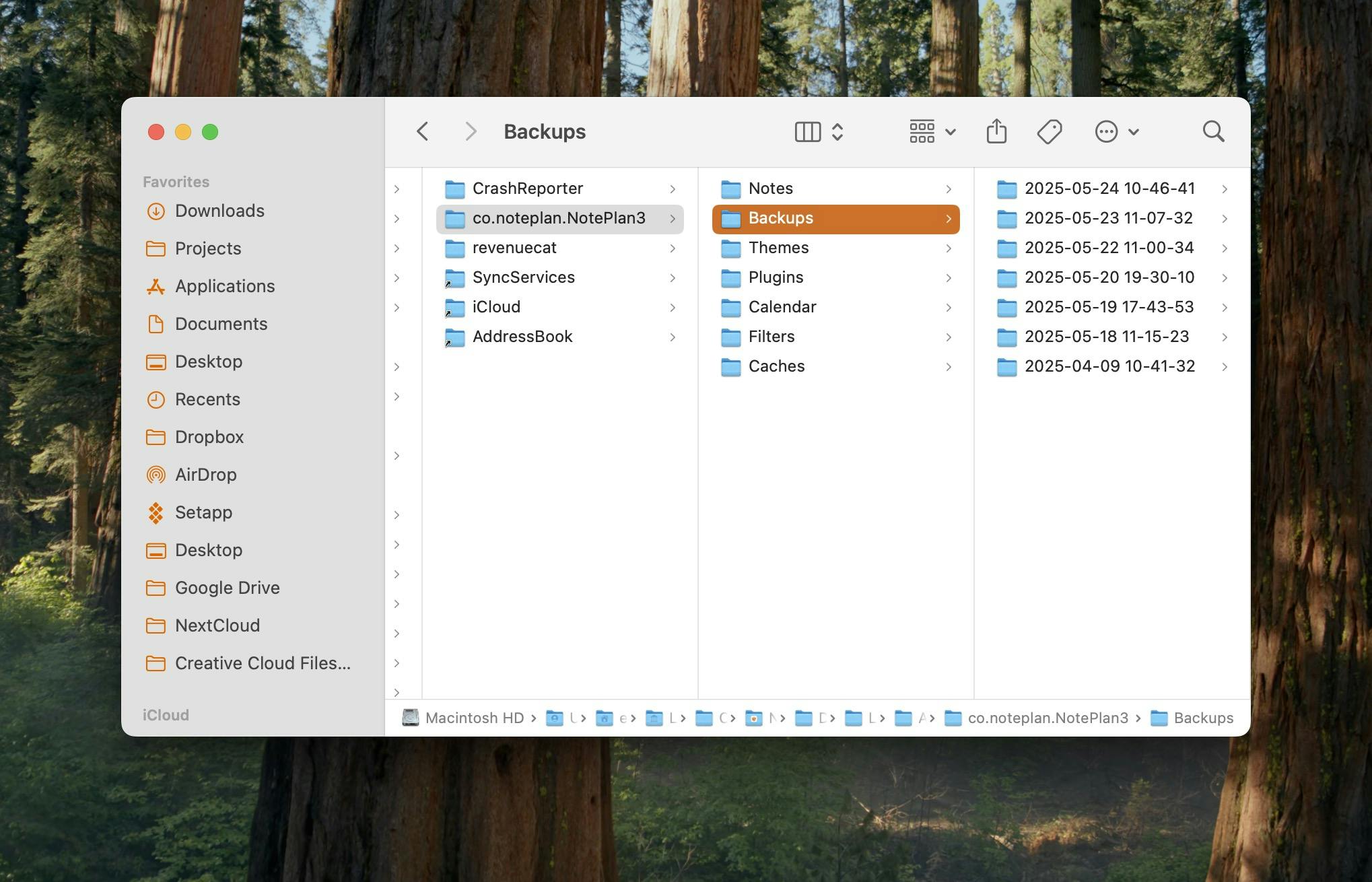 Automated backups created by NotePlan