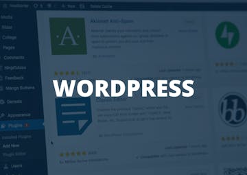 Een WordPress website laten bouwen