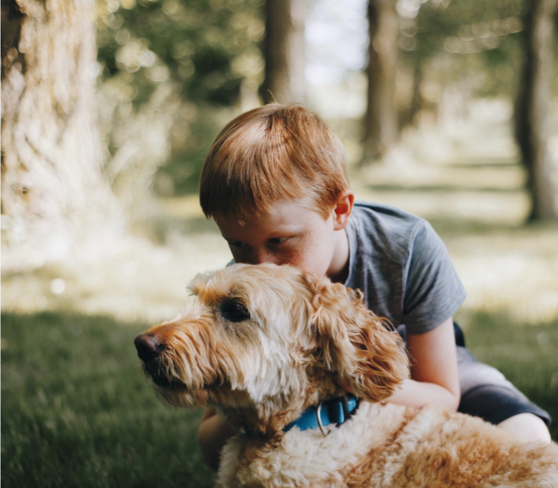 Stabiele Lightspeed webshop voor Beest