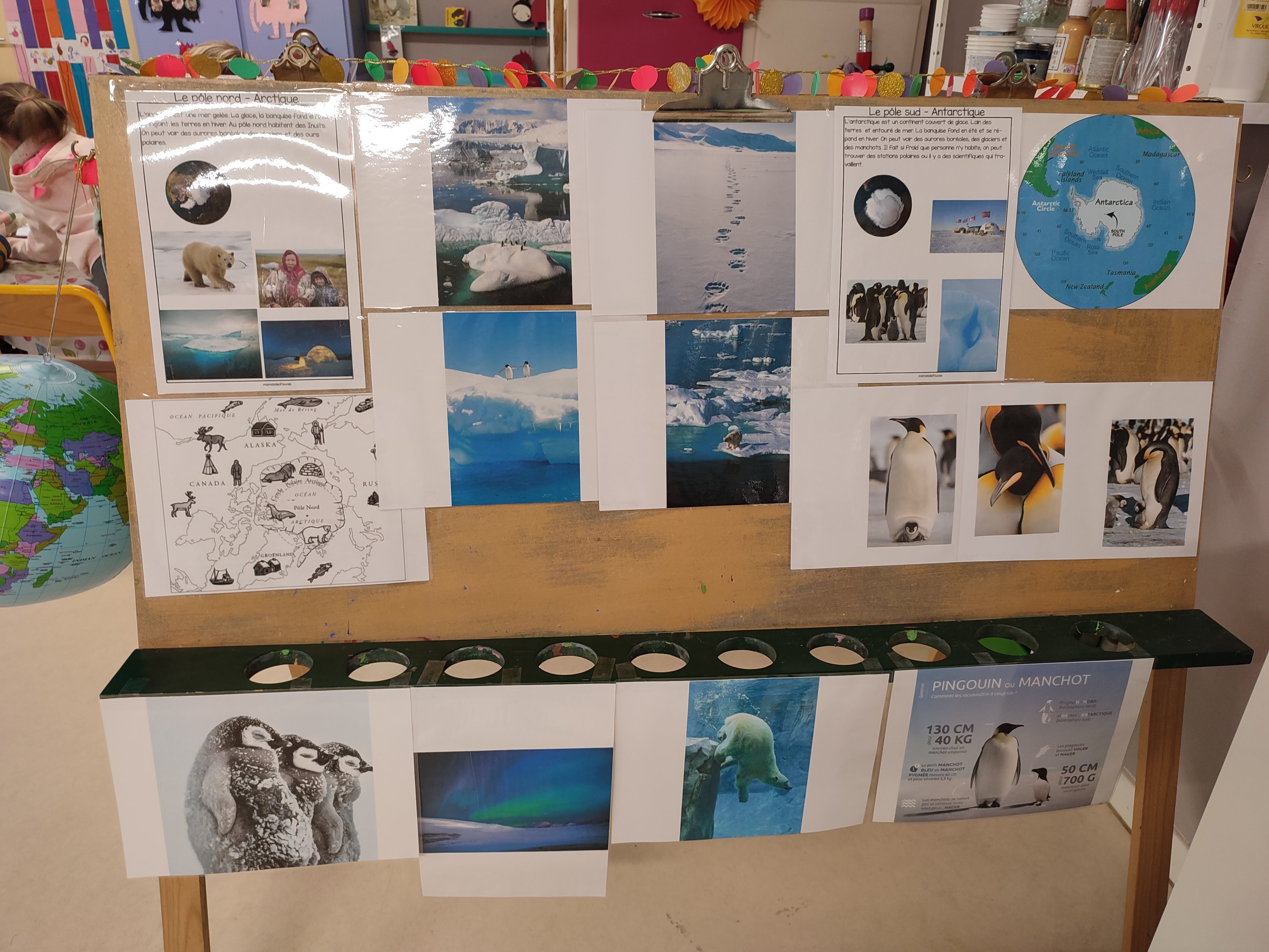 Découverte des Pôles avec les animaux du froid.