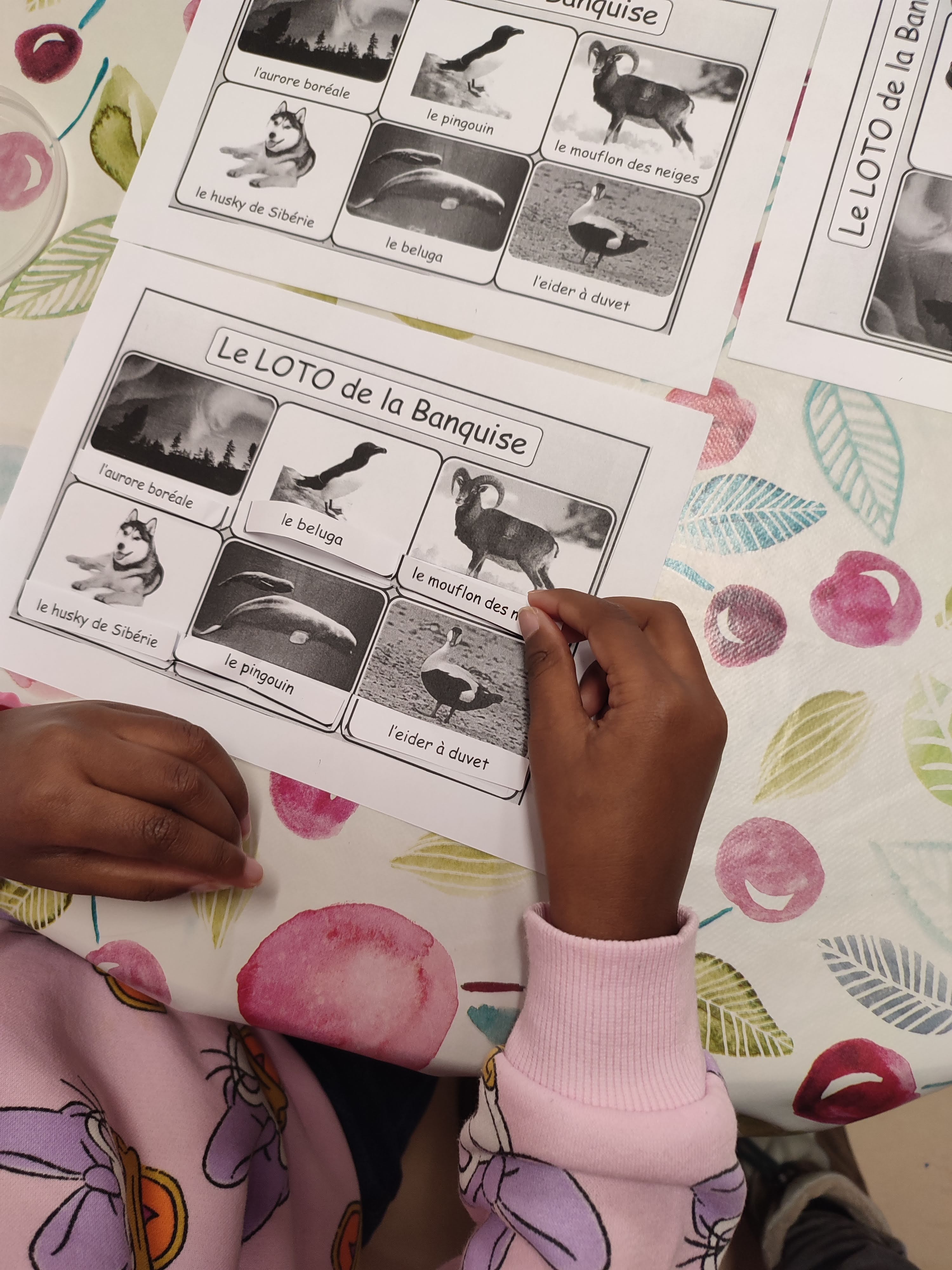 Mise en pratique des découvertes.