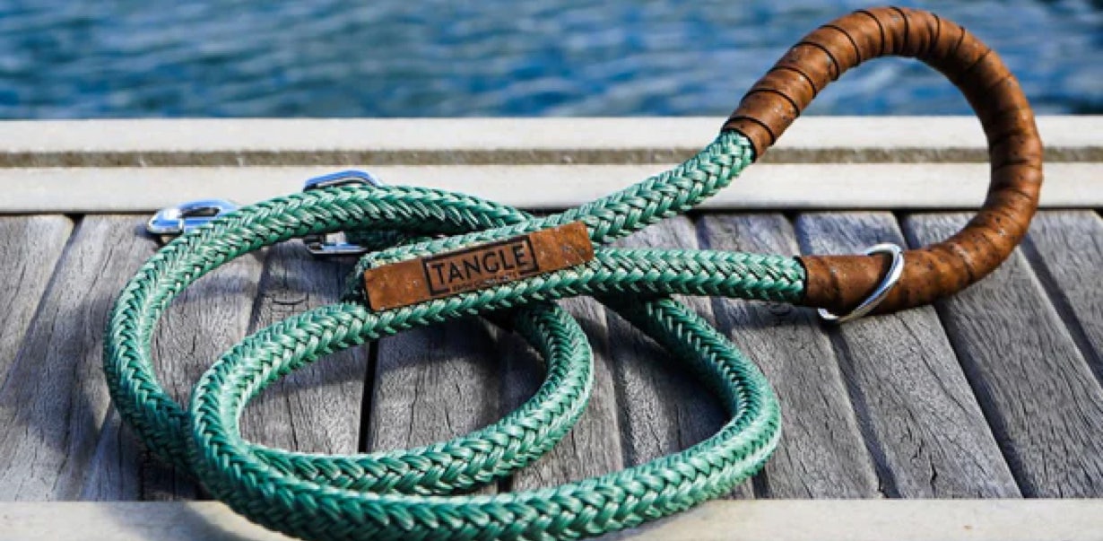 Image of a teal dog lead on a dock, next to a lake, made from recycled fishing plastic nets.