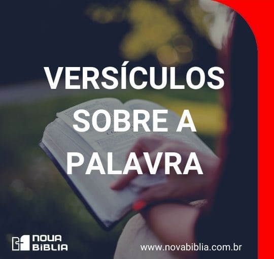 Versículos Sobre A Palavra - Nova Bíblia Online