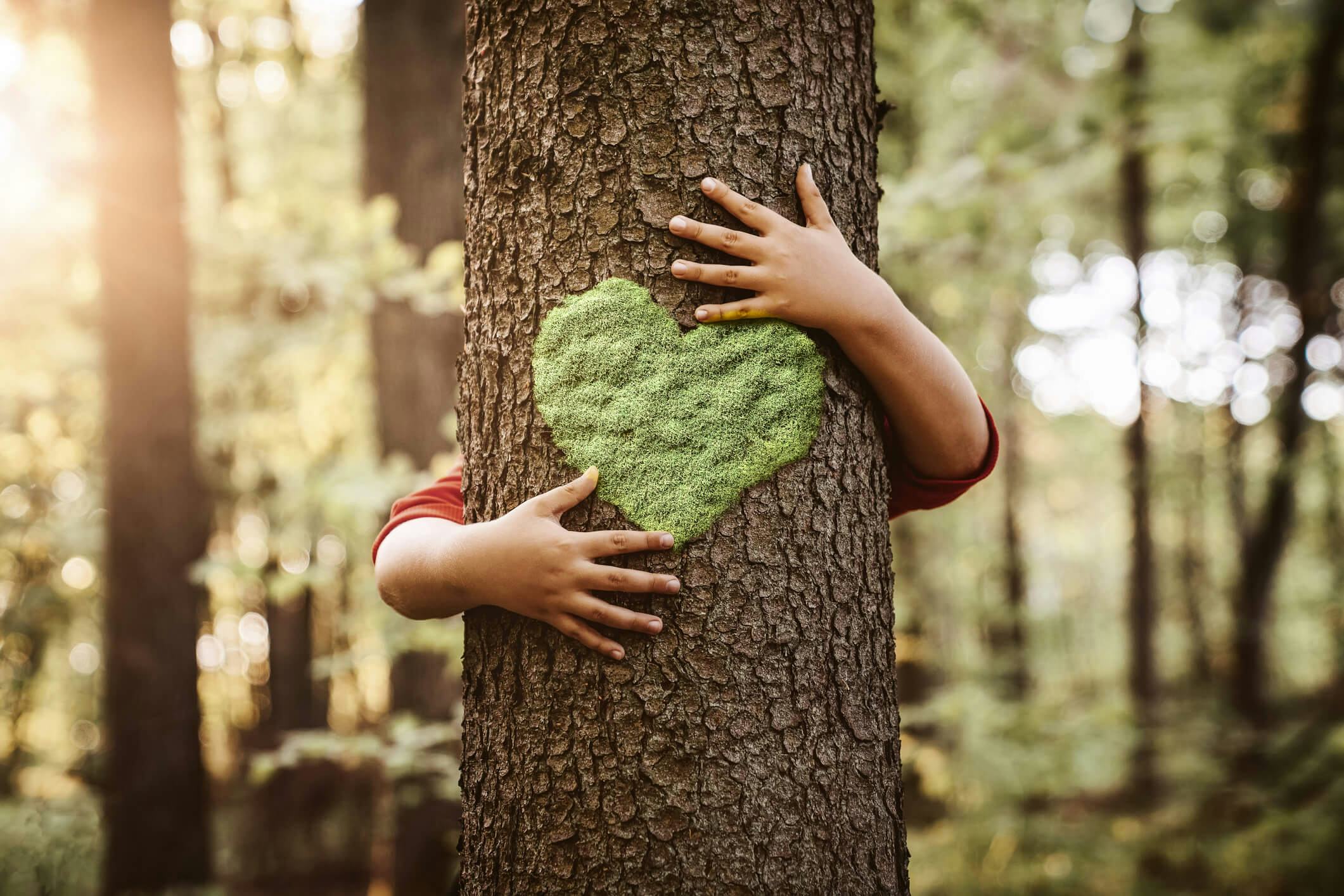 Criança abraçando árvore