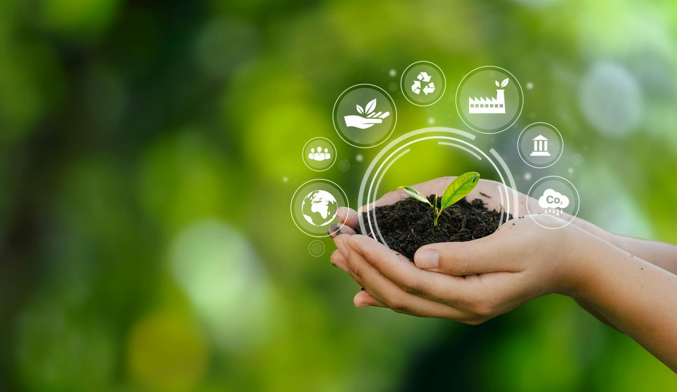 mão segurando brotinho na terra envolto por símbolos de sustentabilidade