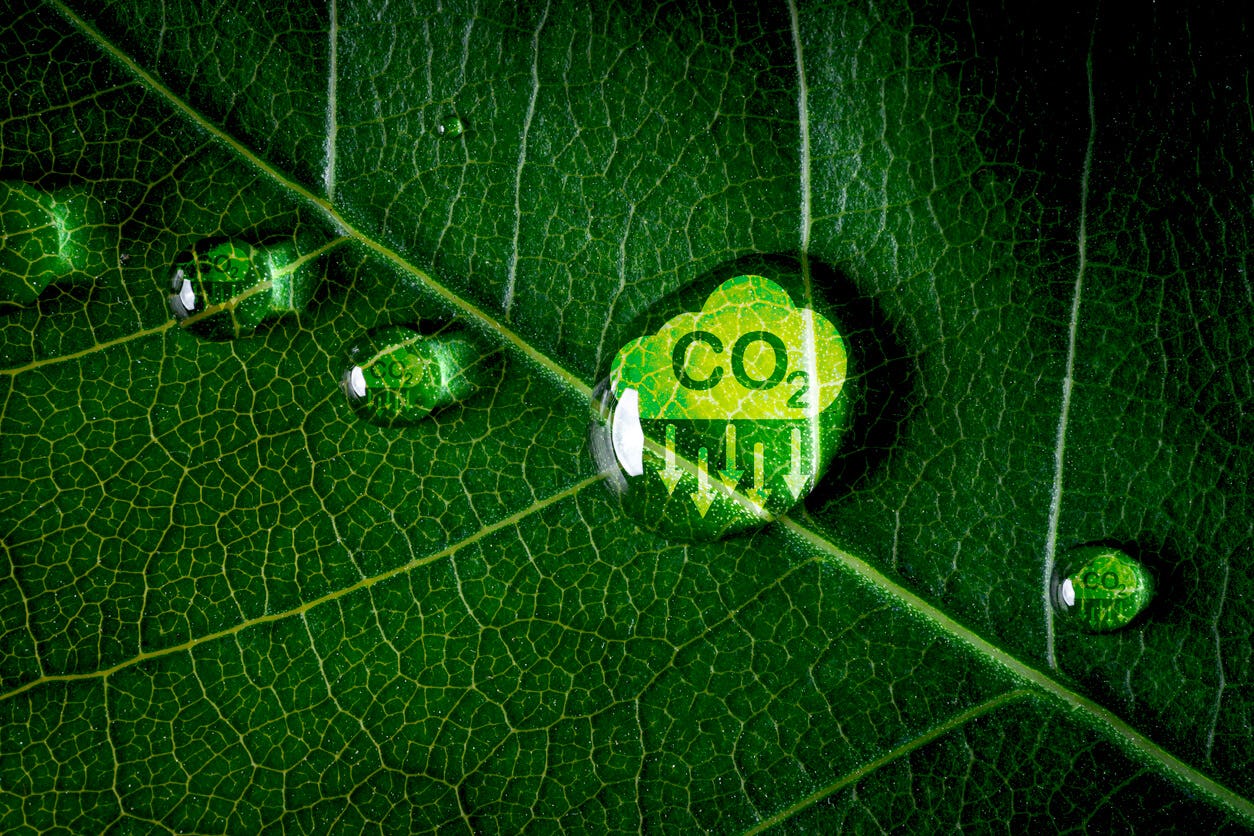 Ícone de redução de CO2 na folha verde com gotícula de água, conceito de Economia Verde Biocircular