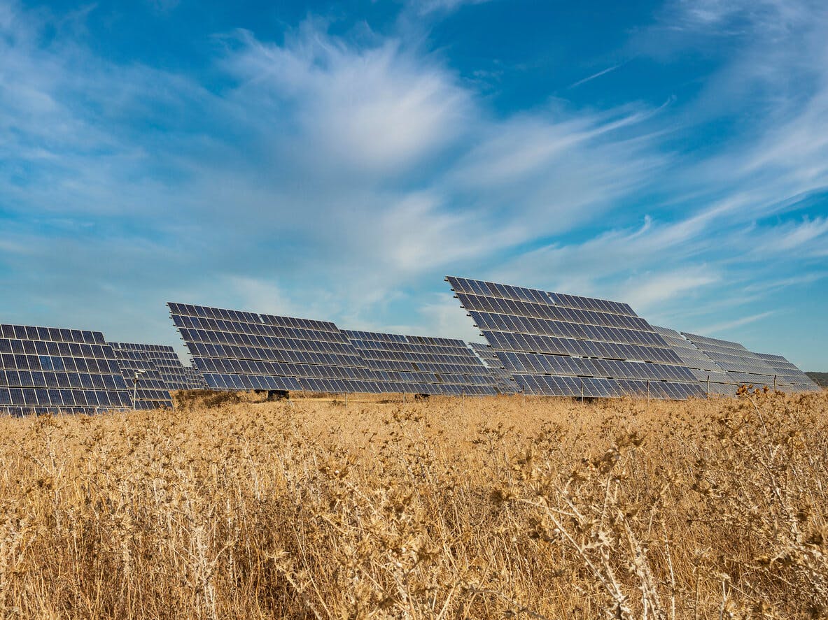 Painéis solares no meio de um campo de flores secas para o verão. Energia fotovoltaica, energia alternativa e sustentável.