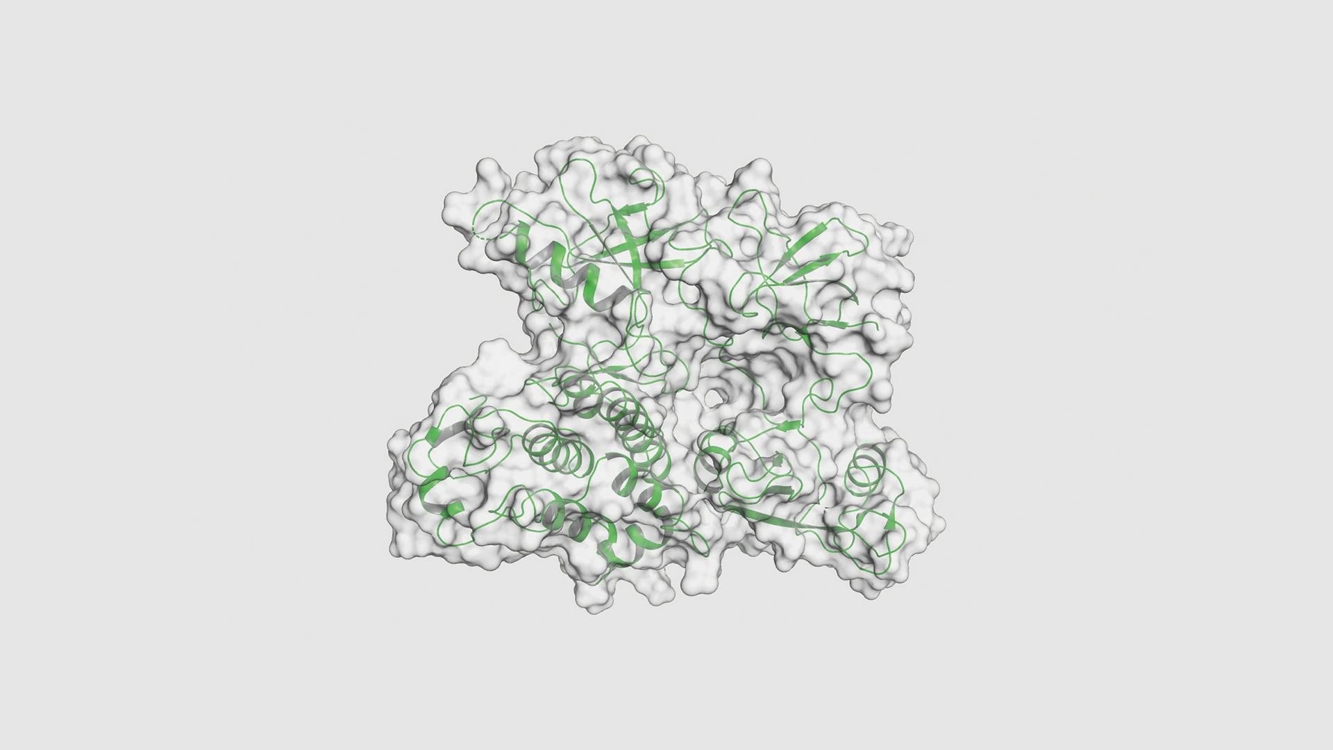 Ein Computermodell eines Proteins.