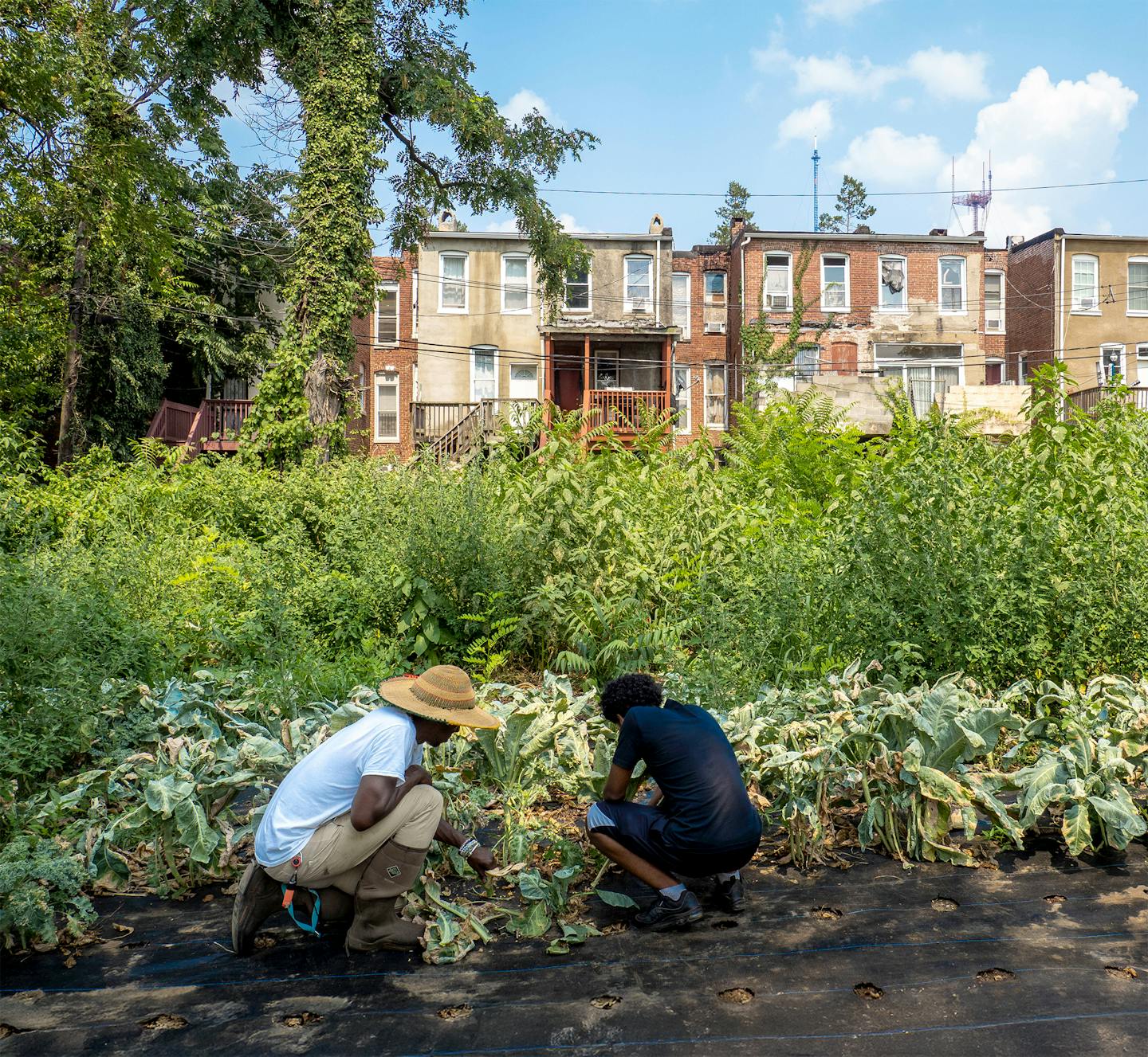 A garden for the community