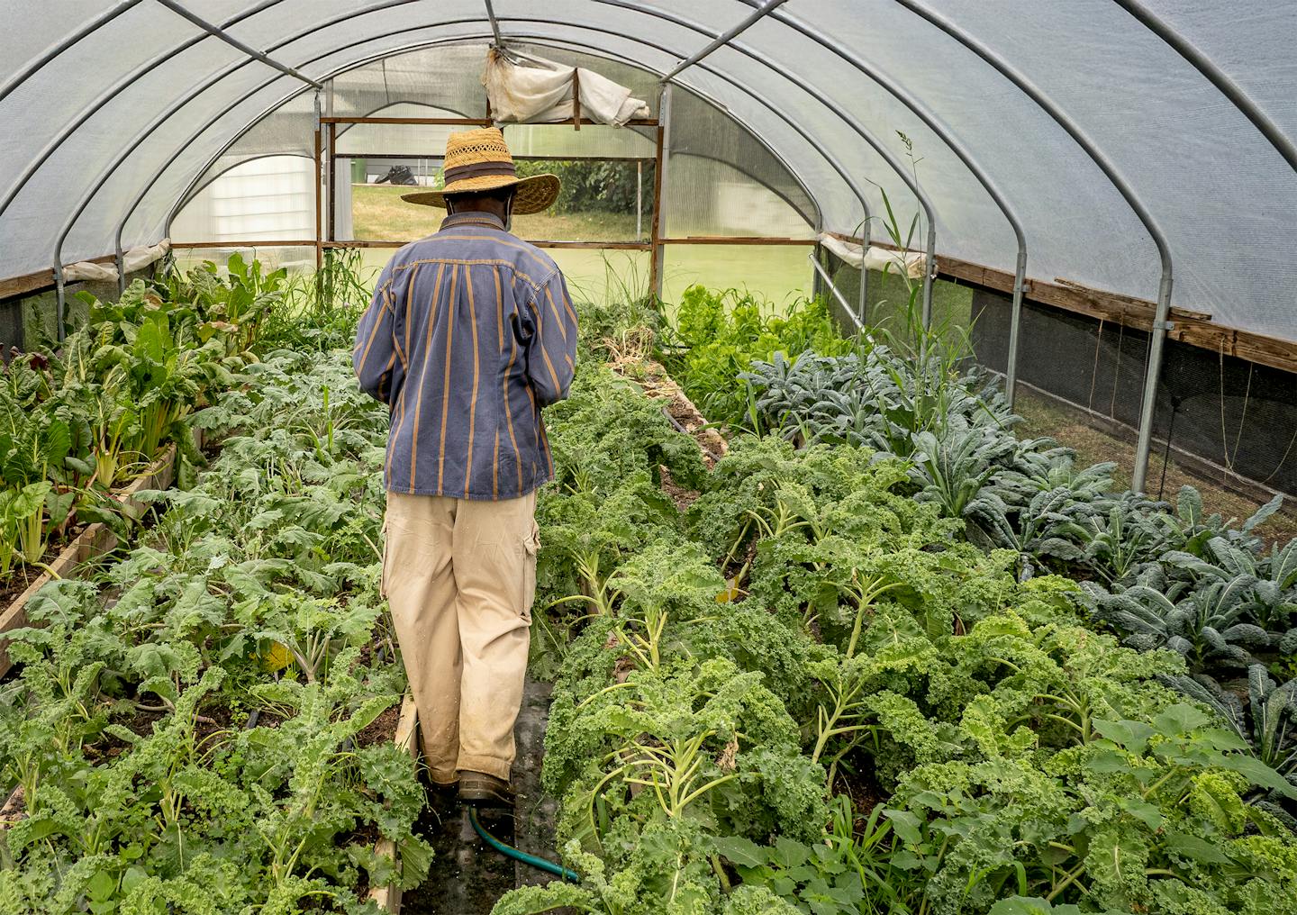 A garden for the community