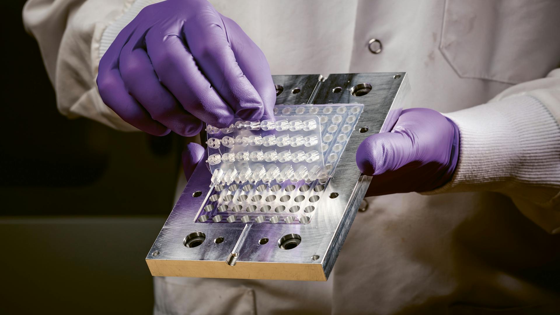 Plates that hold the mini-hearts.