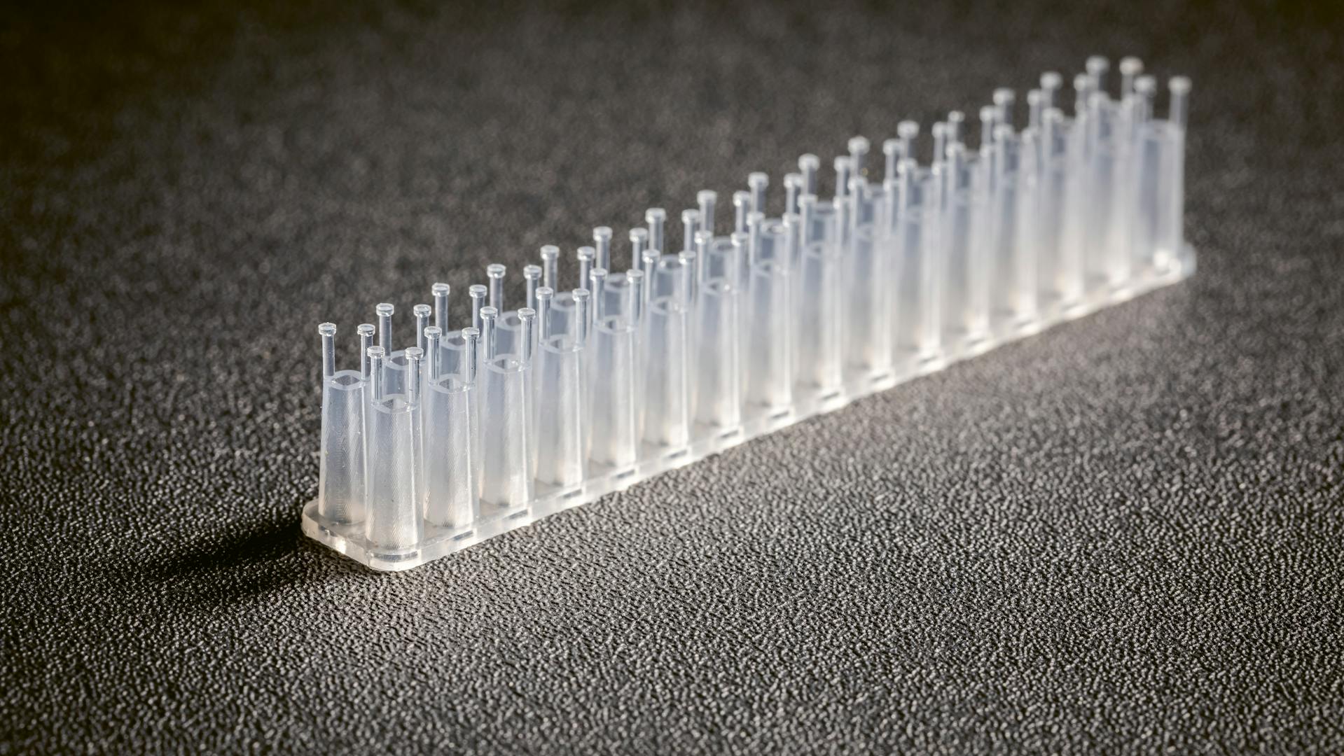 Plates that hold the mini-hearts.