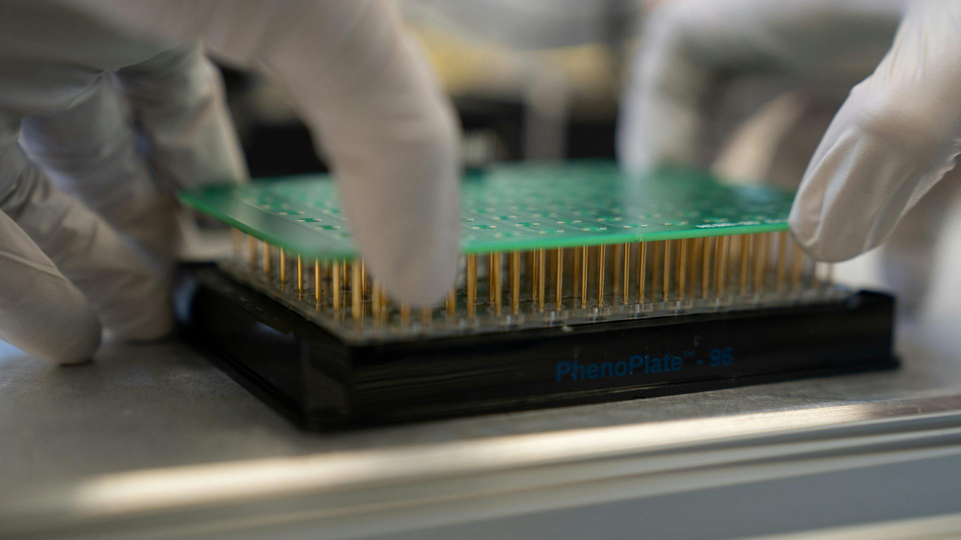 Novartis mini-hearts plate.