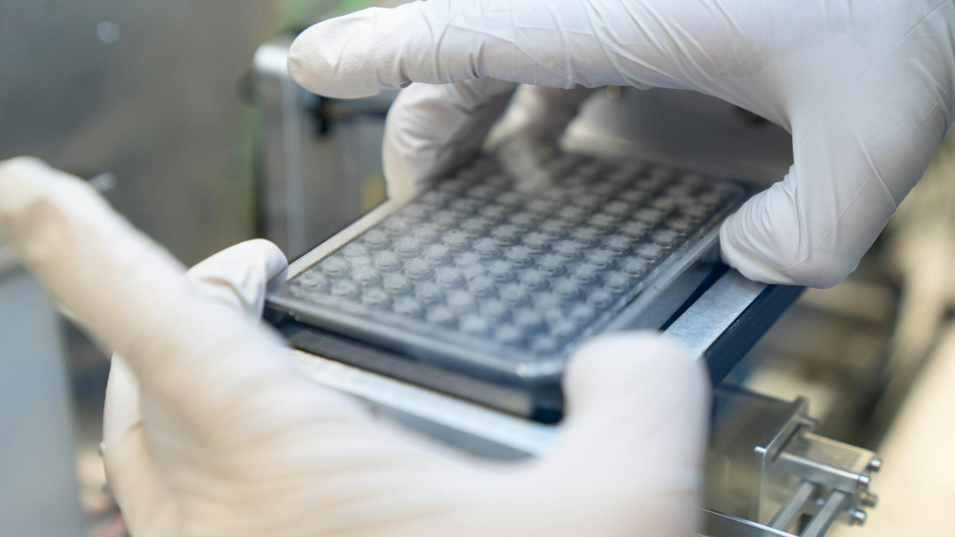 Novartis mini-hearts plate.