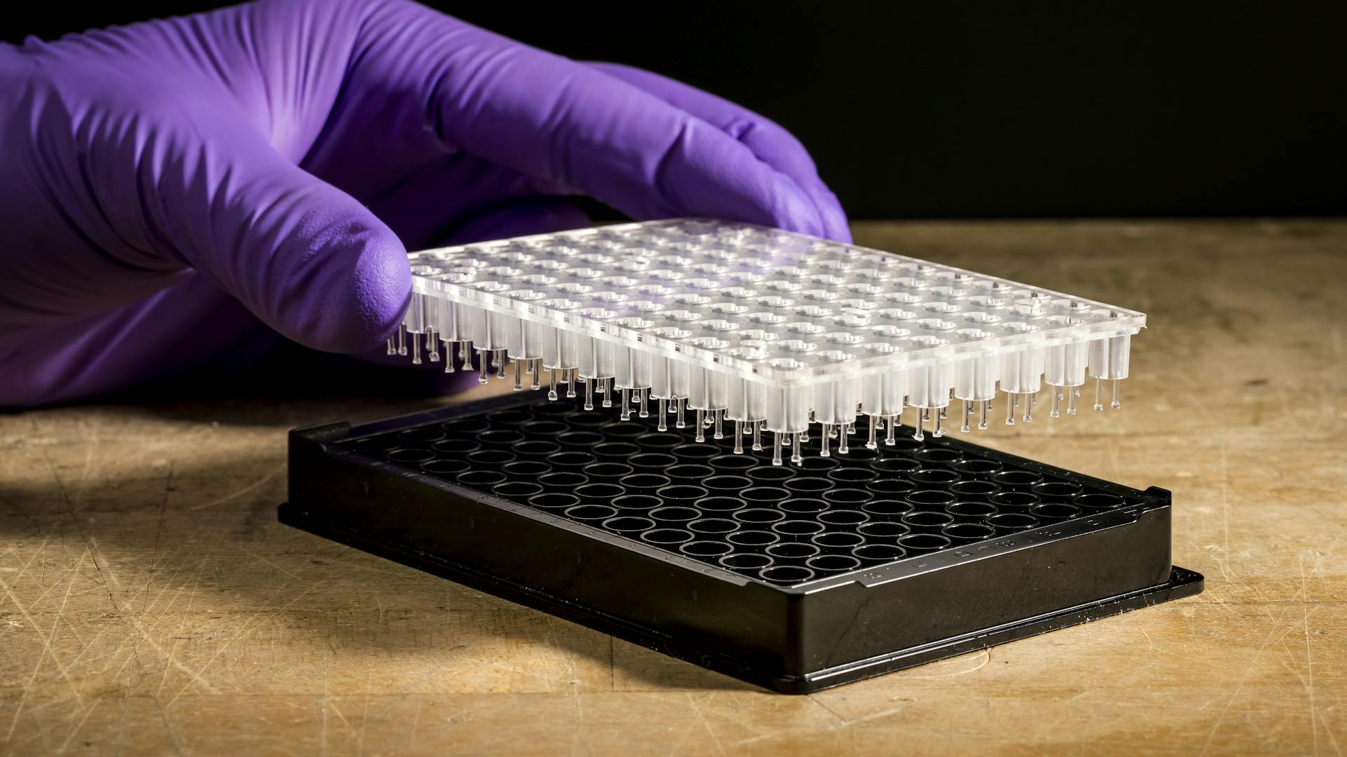 Novartis mini-hearts plate.