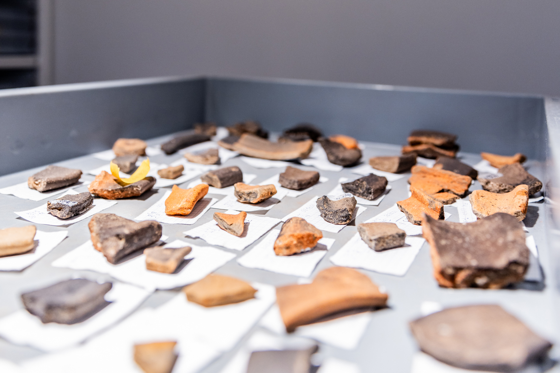 Archivschublade mit archäologischen Fundstücken.
