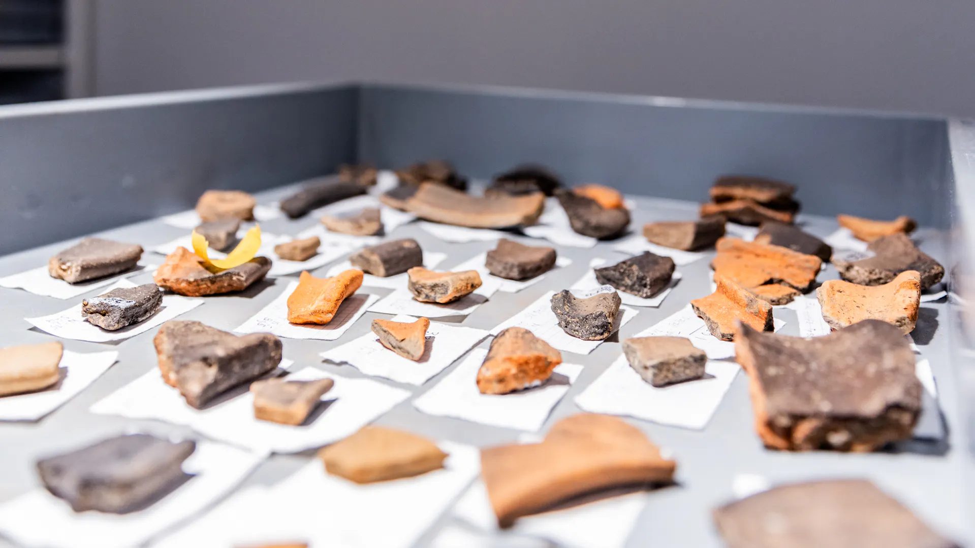 Archivschublade mit archäologischen Fundstücken.