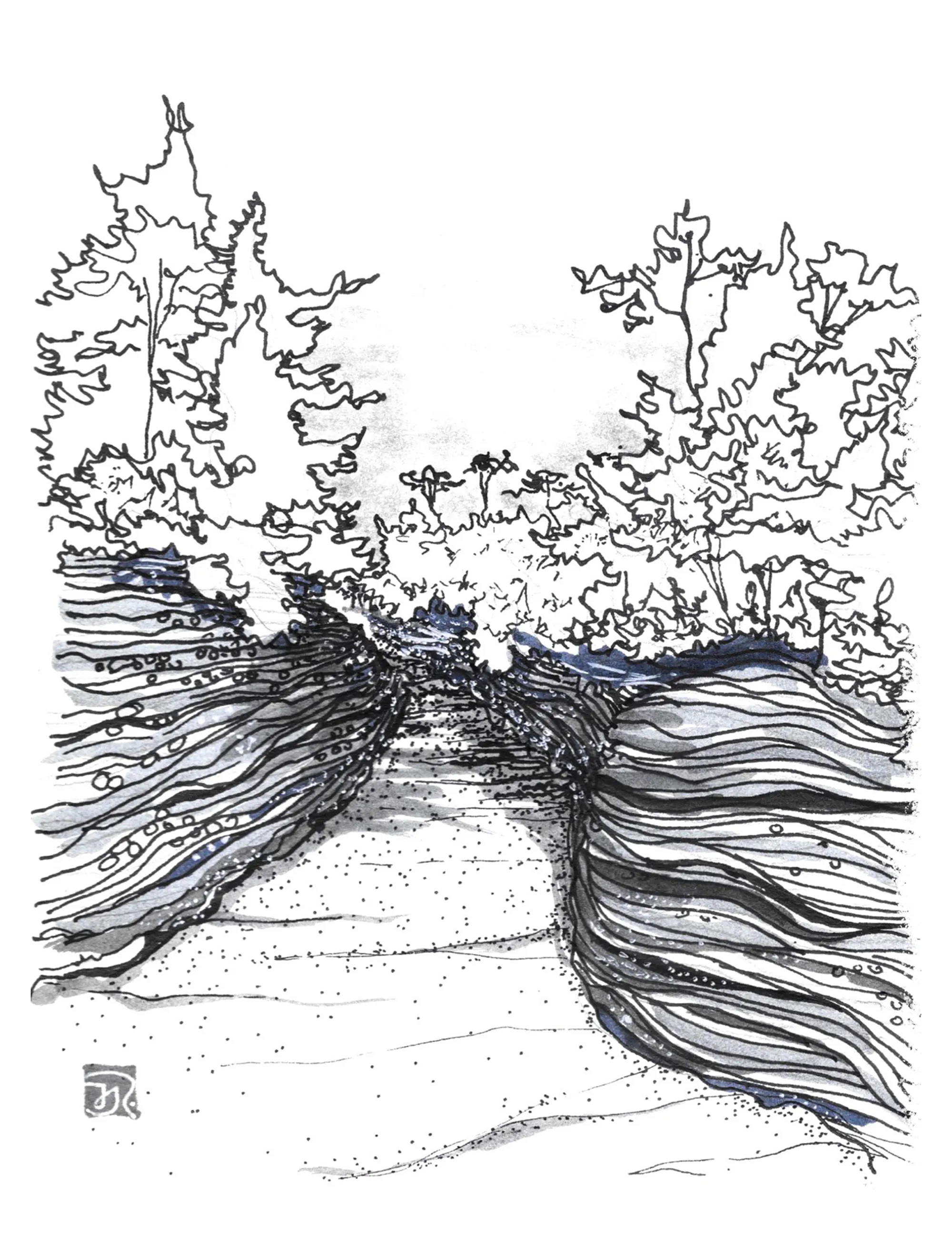 Sketch of a landscape detail at the Novartis Campus.