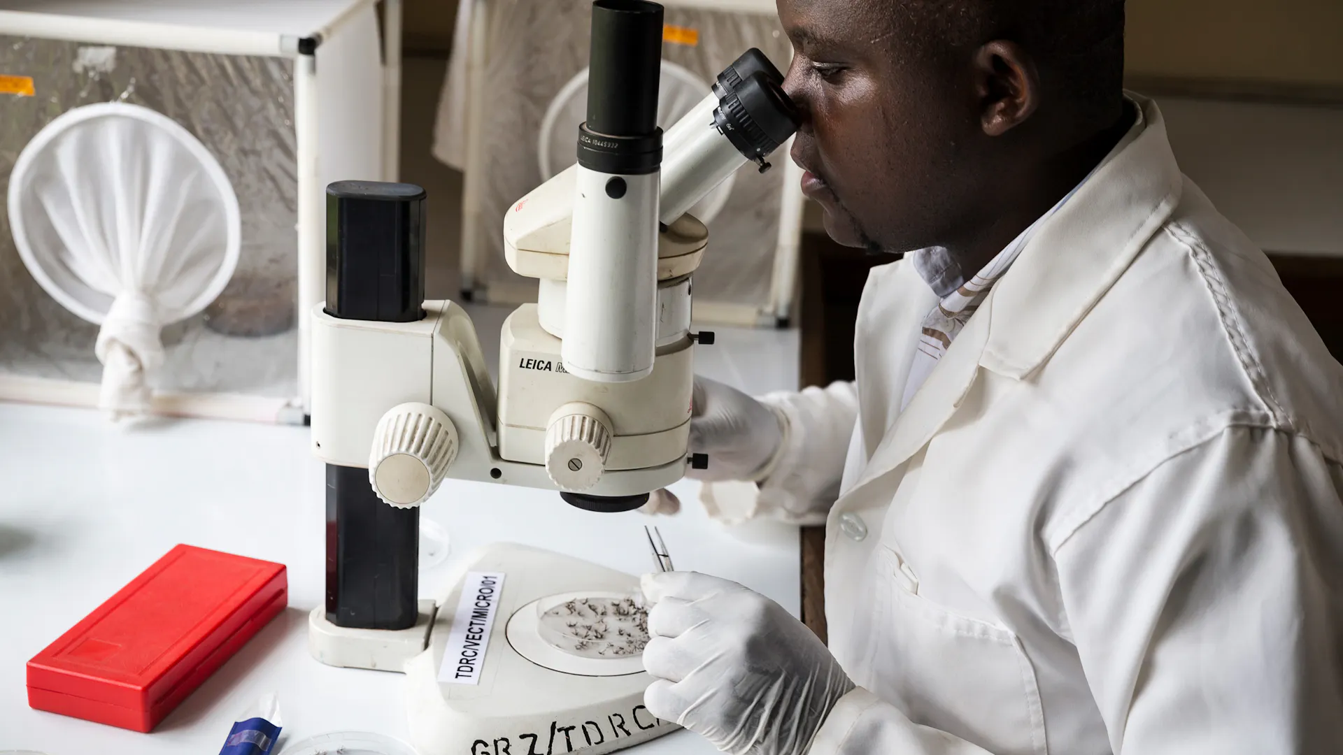 Eine Person in einem weißen Laborkittel untersucht eine Probe unter einem Mikroskop in einer Laborumgebung, wobei verschiedene Petrischalen und Geräte auf dem Tisch zu sehen sind.