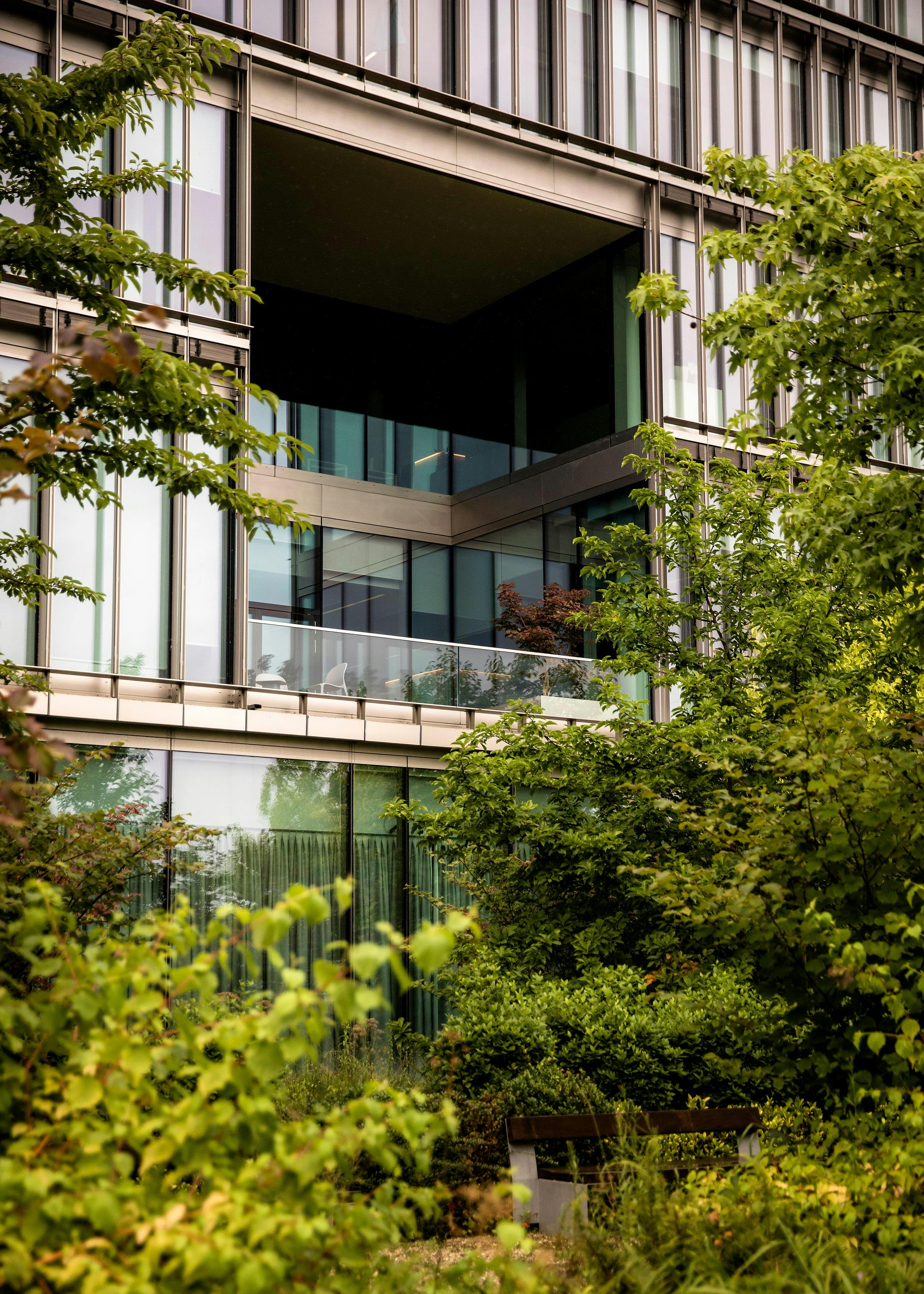 Bäume und Sträucher vor moderner Gebäudefassade auf dem Novartis Campus.