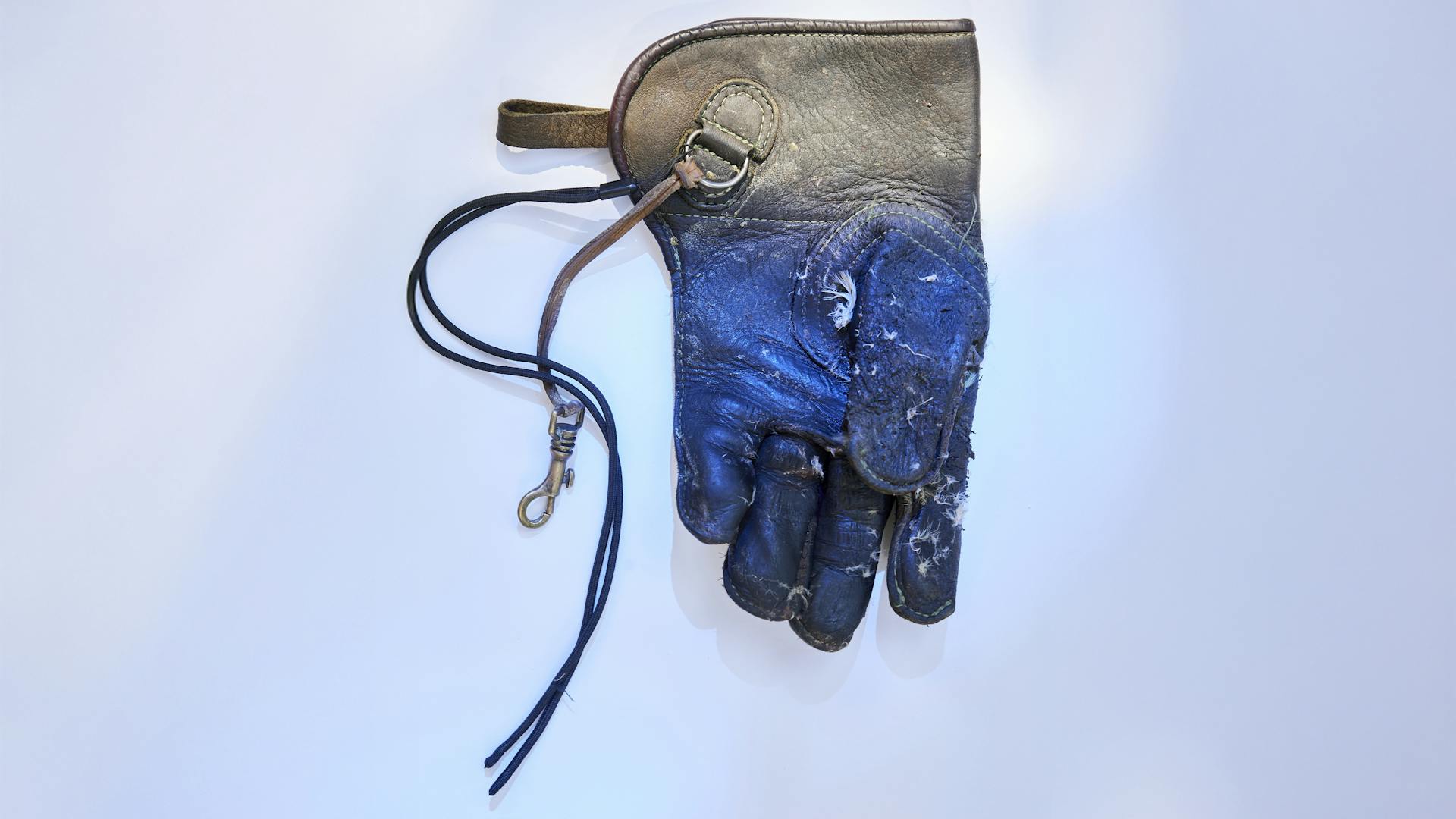 Glove of a falconer.