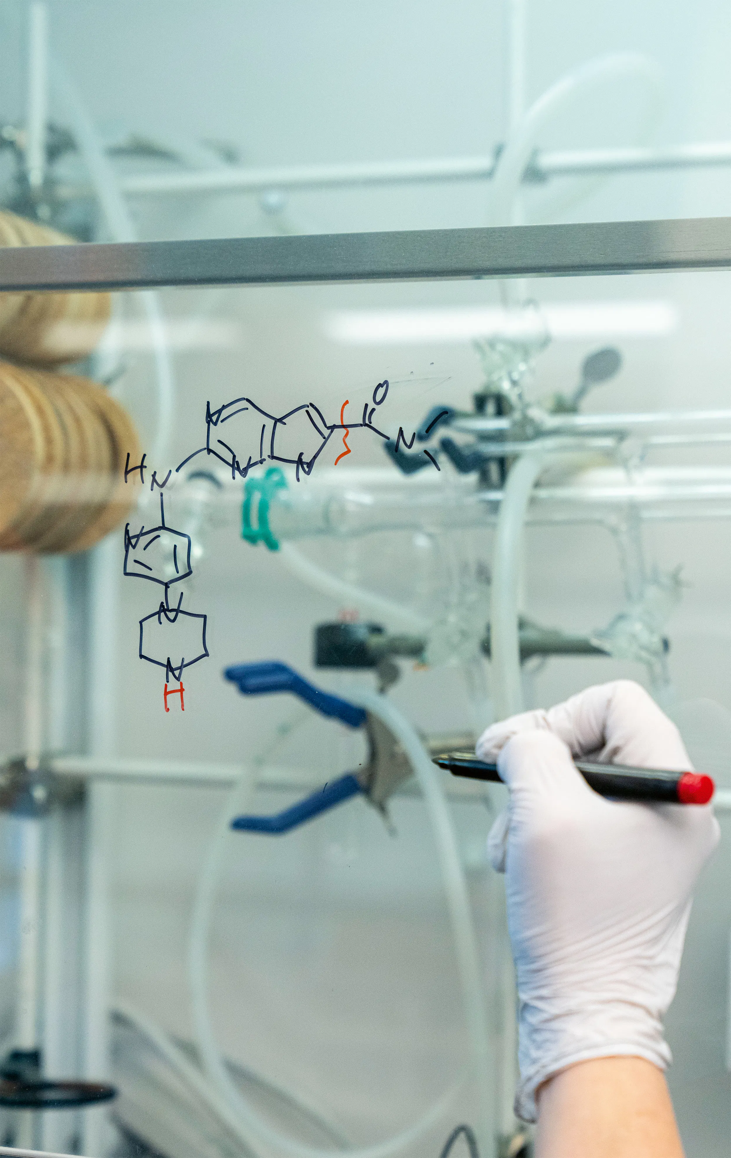 Translating the cycle of life