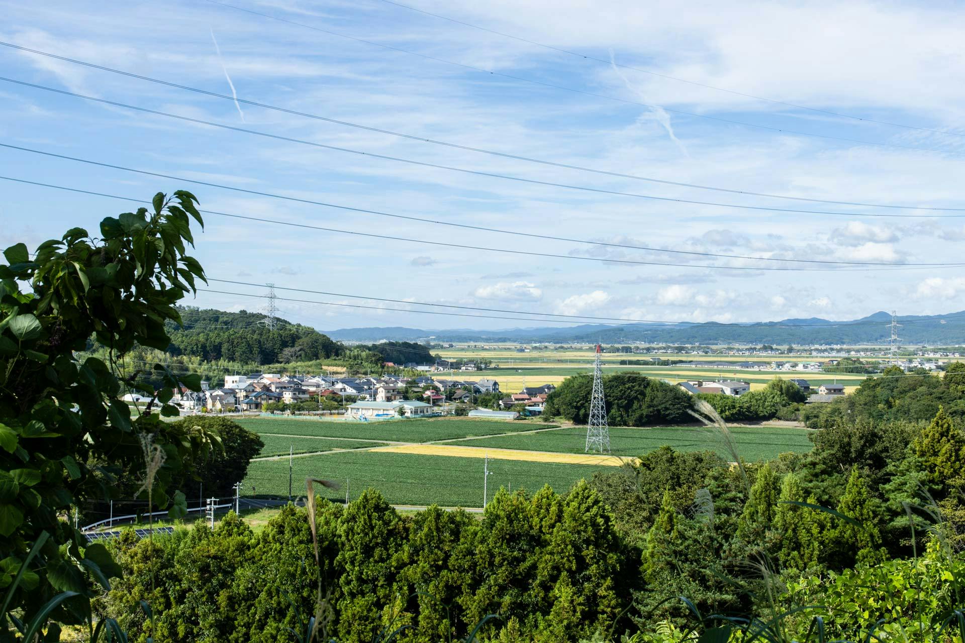 A journey from Tokyo to Ishinomaki