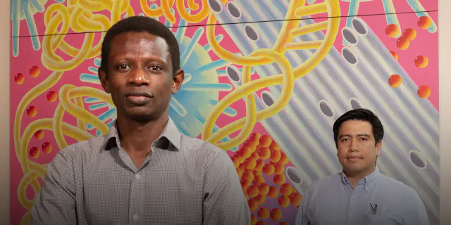 Using AI to Combat Malaria and Save Lives