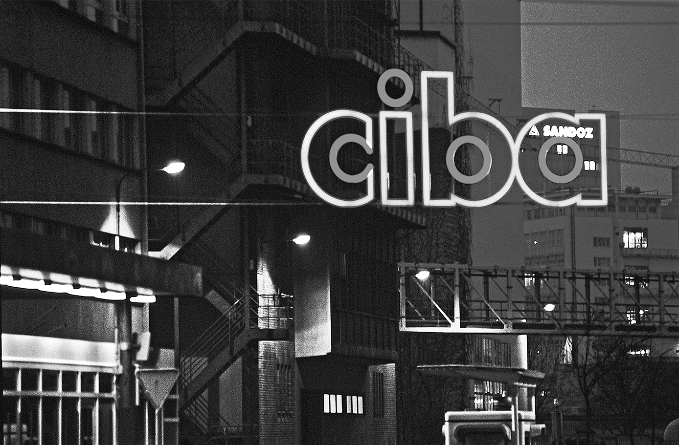 Basel, which had been focused on the chemical industry, became a pharmaceutical hub with the founding of Novartis.