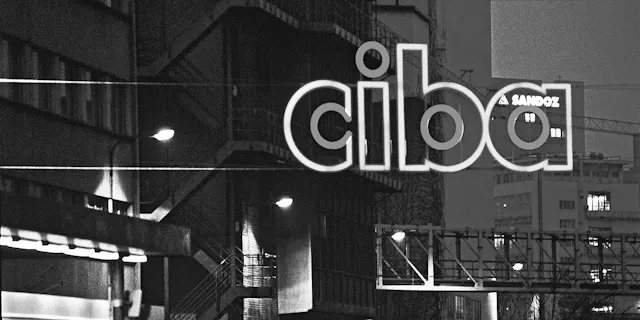Basel, which had been focused on the chemical industry, became a pharmaceutical hub with the founding of Novartis.