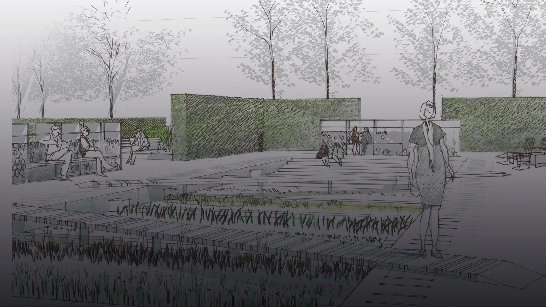 The sketch by Thorbjoern Andersson shows the southern part of the park that was opened in 2012 as the Physic Garden.